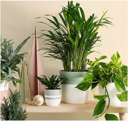 Krizden çıkışın en hızlı yolu e-ticaret