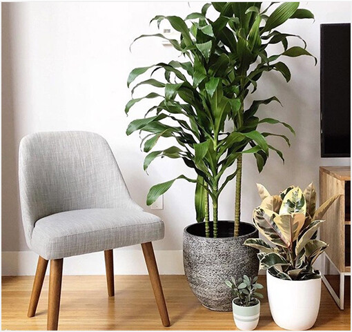 Türkiye'de E-ticaret