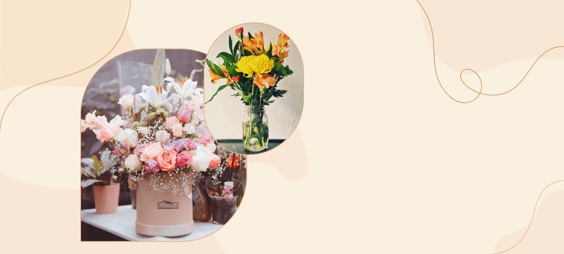 EVİNİZE RENK GETİRİN