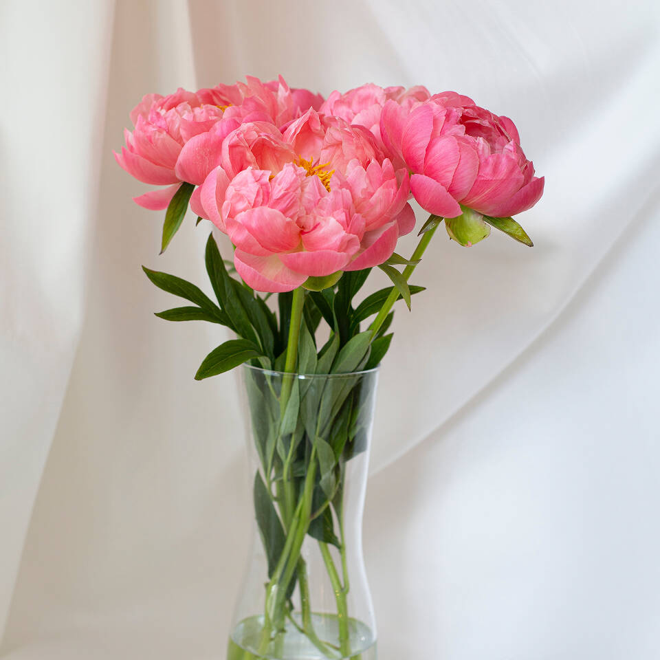 Örnek Ürün 11 - Karışık - 4